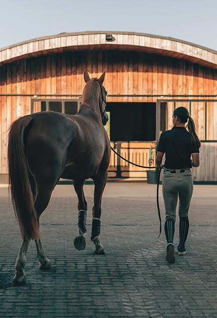 woman-with-horse