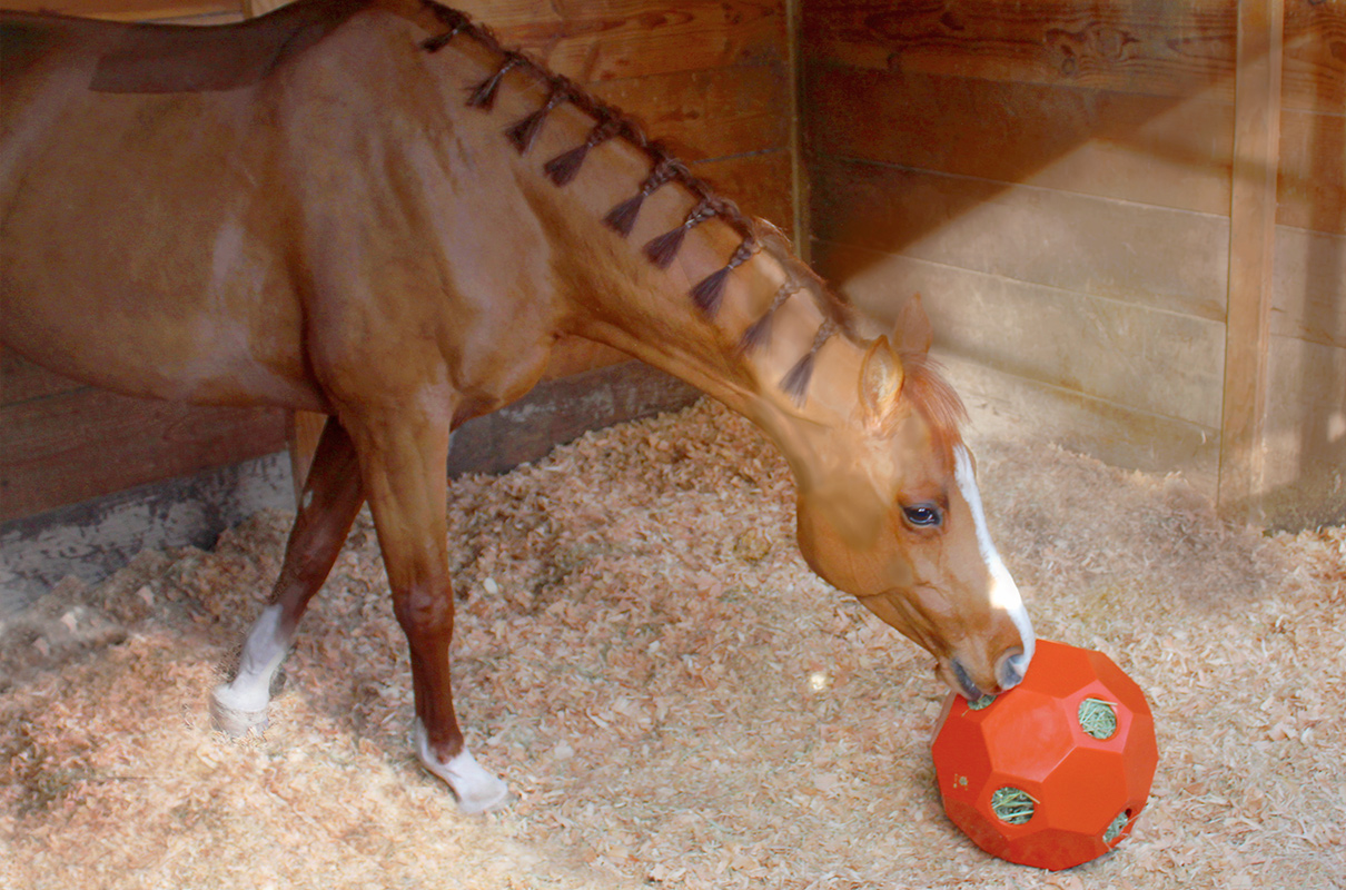Hay Ball Feeder - Image 2