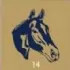 Horse Head