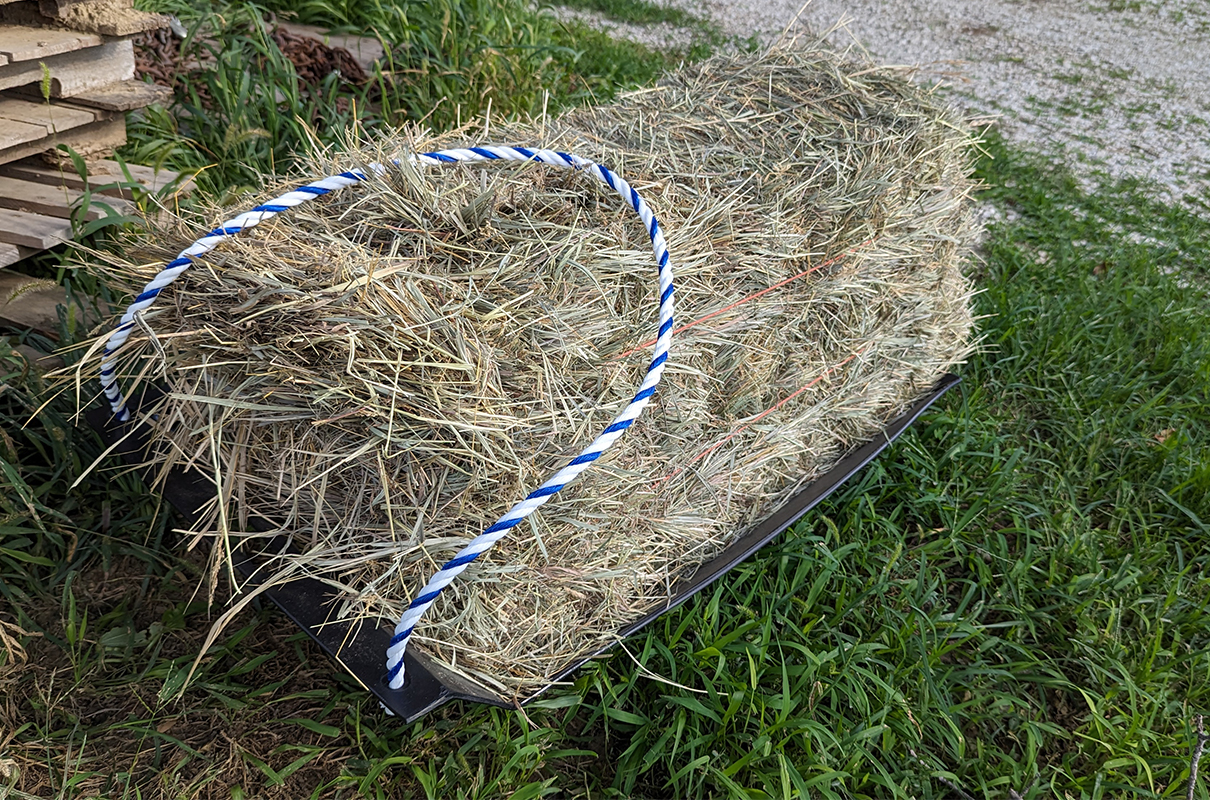 The Sled - Image 3