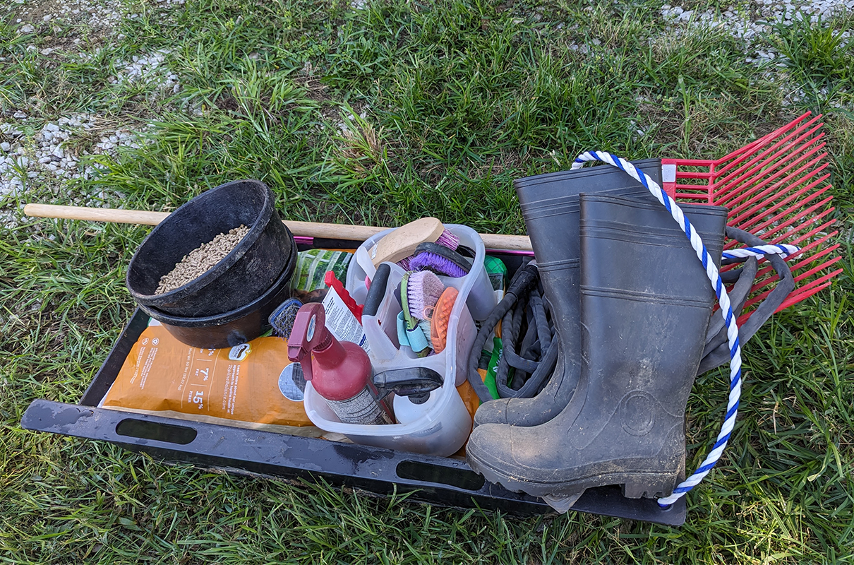 The Sled - Image 4