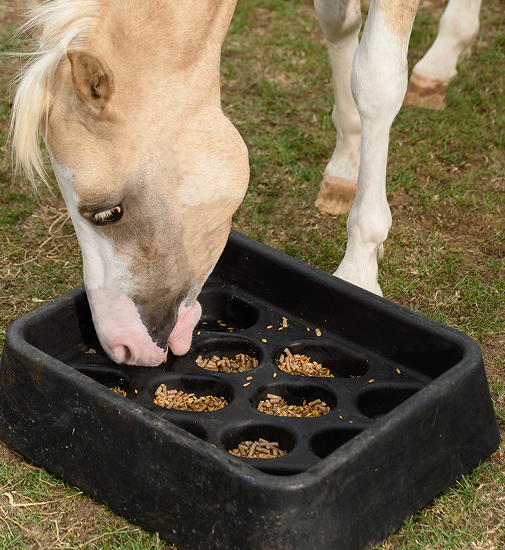 Gradual Feeder - Image 5
