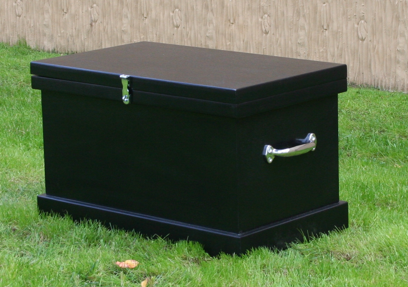 Phoenix West Starter Trunk - Image 6