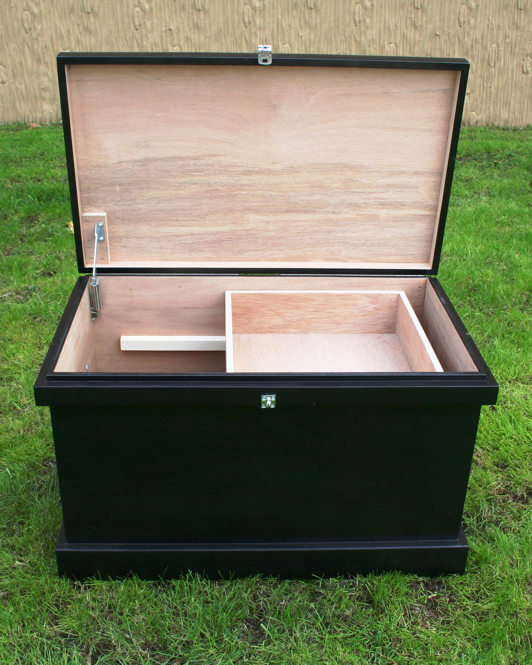 Phoenix West Starter Trunk - Image 5