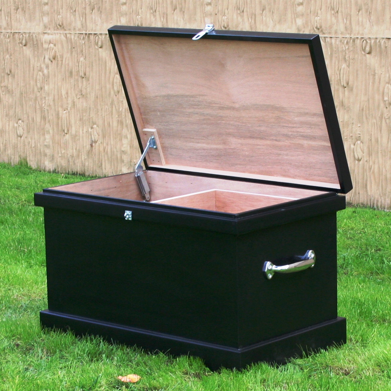 Phoenix West Starter Trunk - Image 4